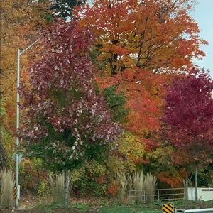 Meet your Posher, Faten